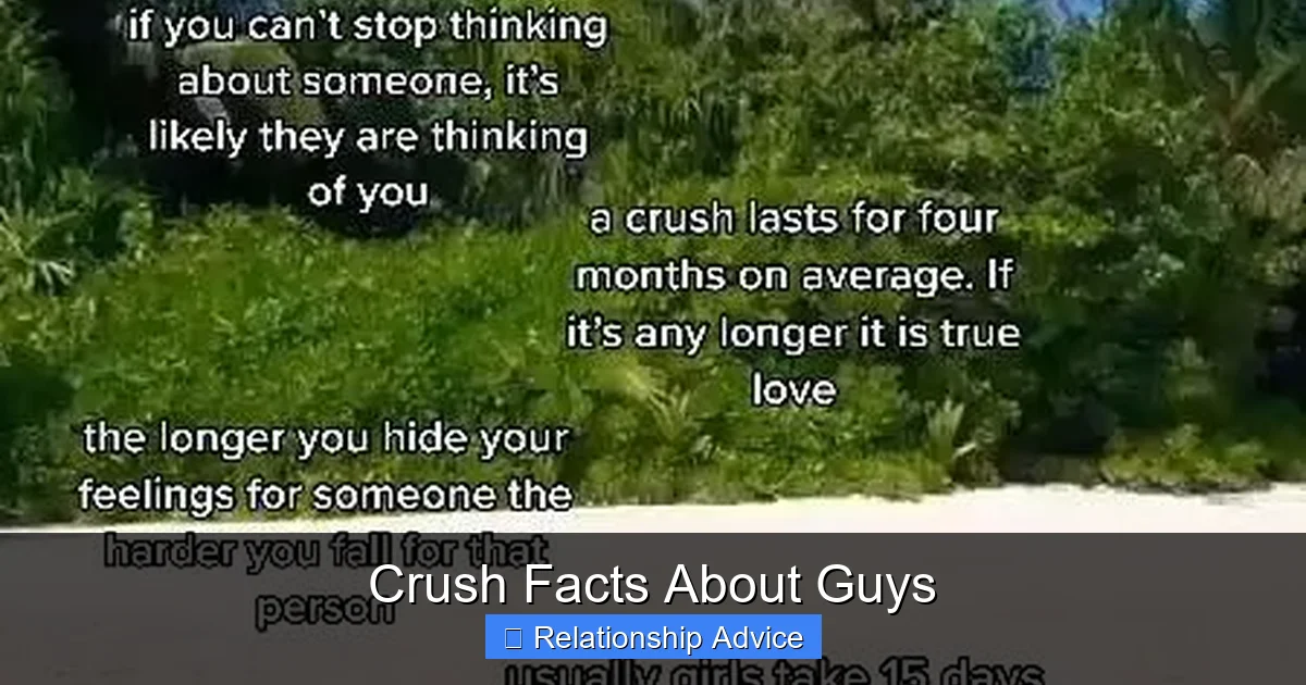 Crush Facts About Guys