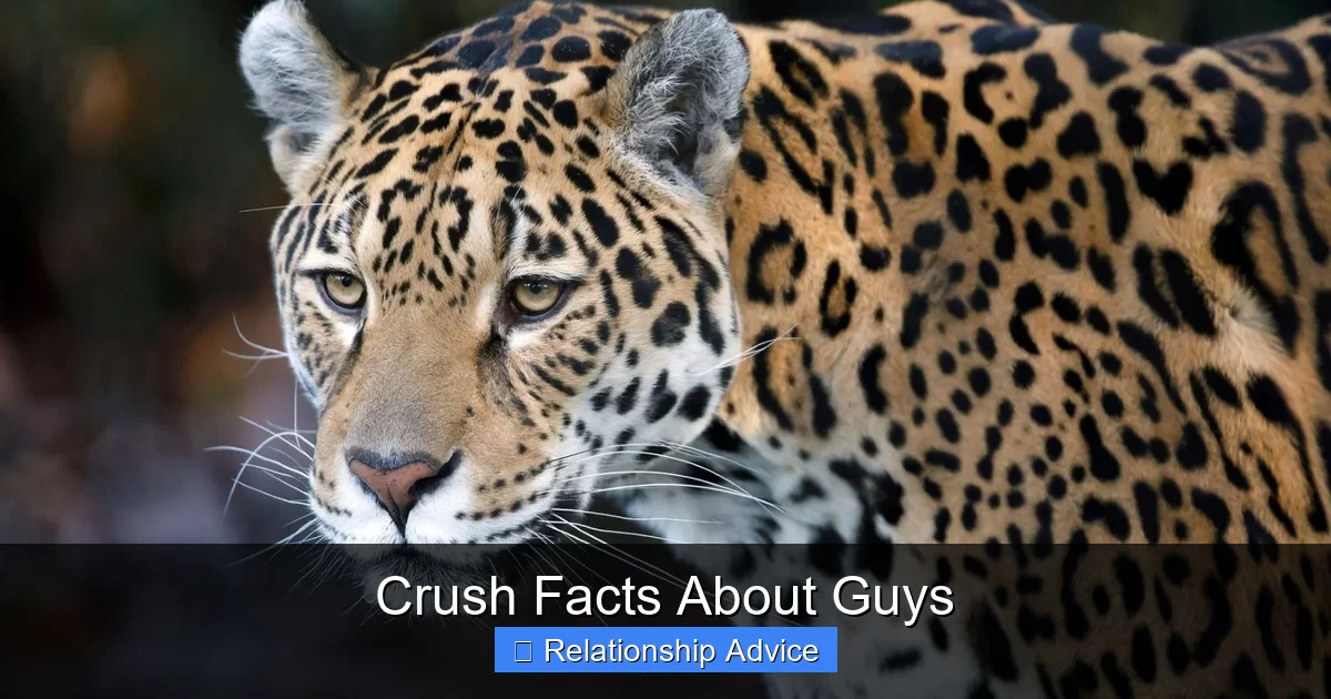 Crush Facts About Guys