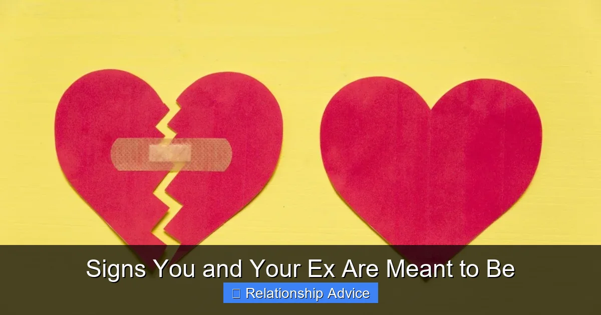 Signs You and Your Ex Are Meant to Be