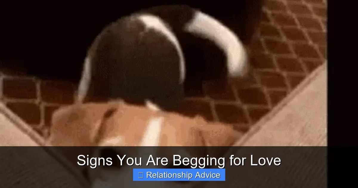 Signs You Are Begging for Love
