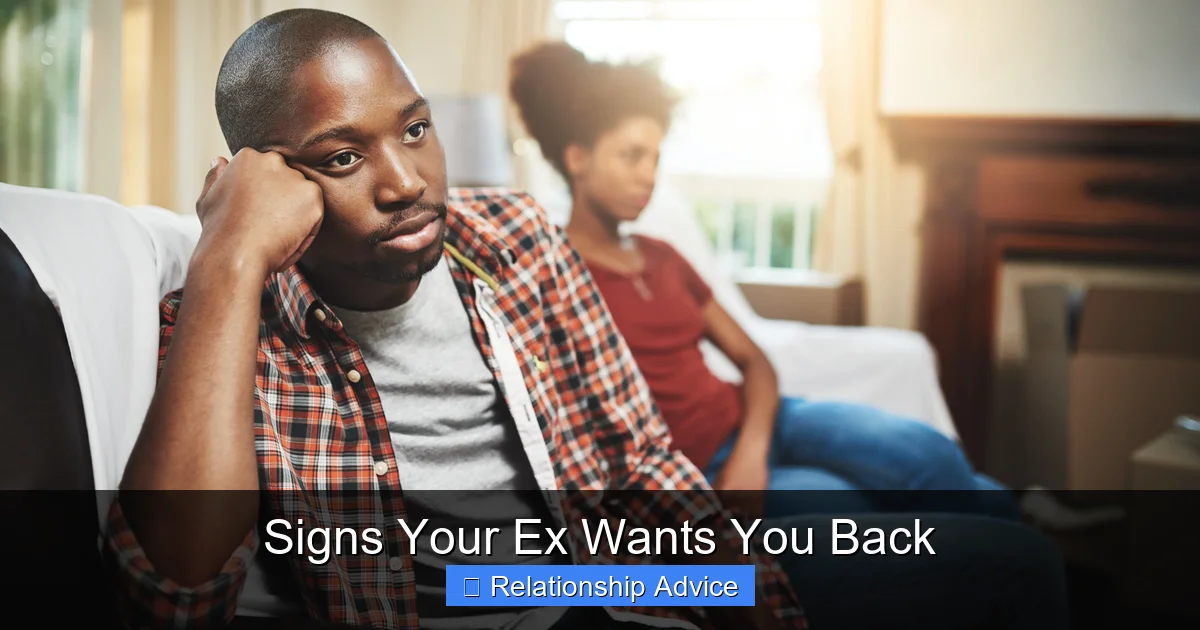Signs Your Ex Wants You Back
