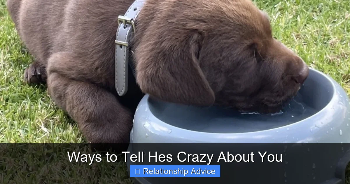 Ways to Tell Hes Crazy About You