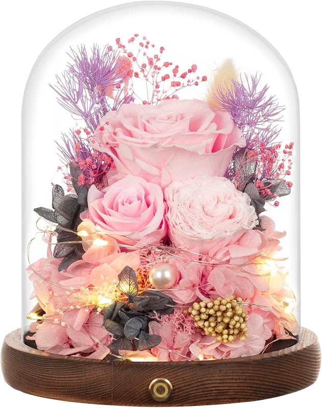 Large preserved pink roses in glass dome with lights, romantic deliver