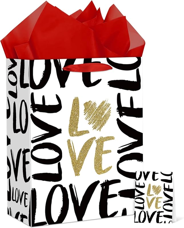 Large Gift Bag for Him, Complete Set with Handles, Tissue Paper, and G