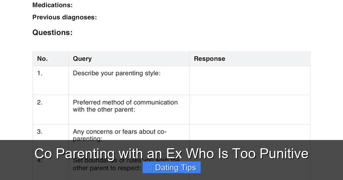 Co Parenting with an Ex Who Is Too Punitive