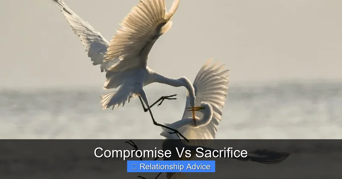 Compromise Vs Sacrifice