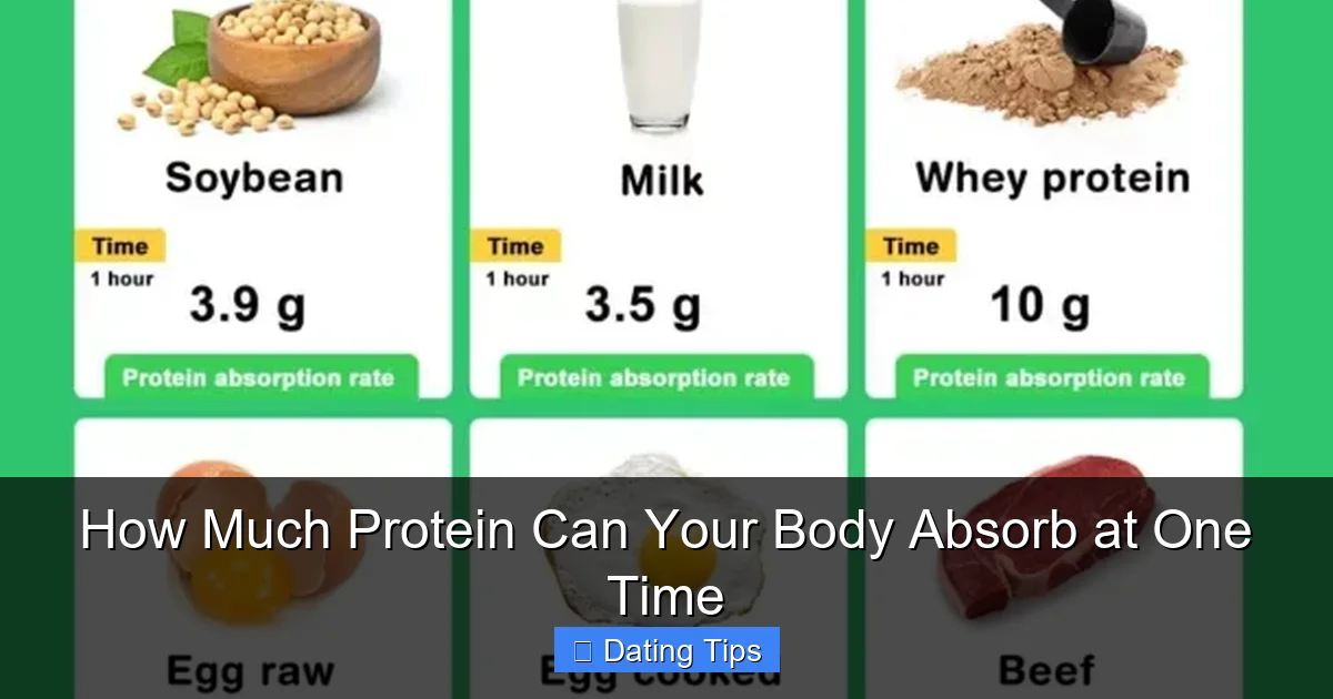 How Much Protein Can Your Body Absorb at One Time