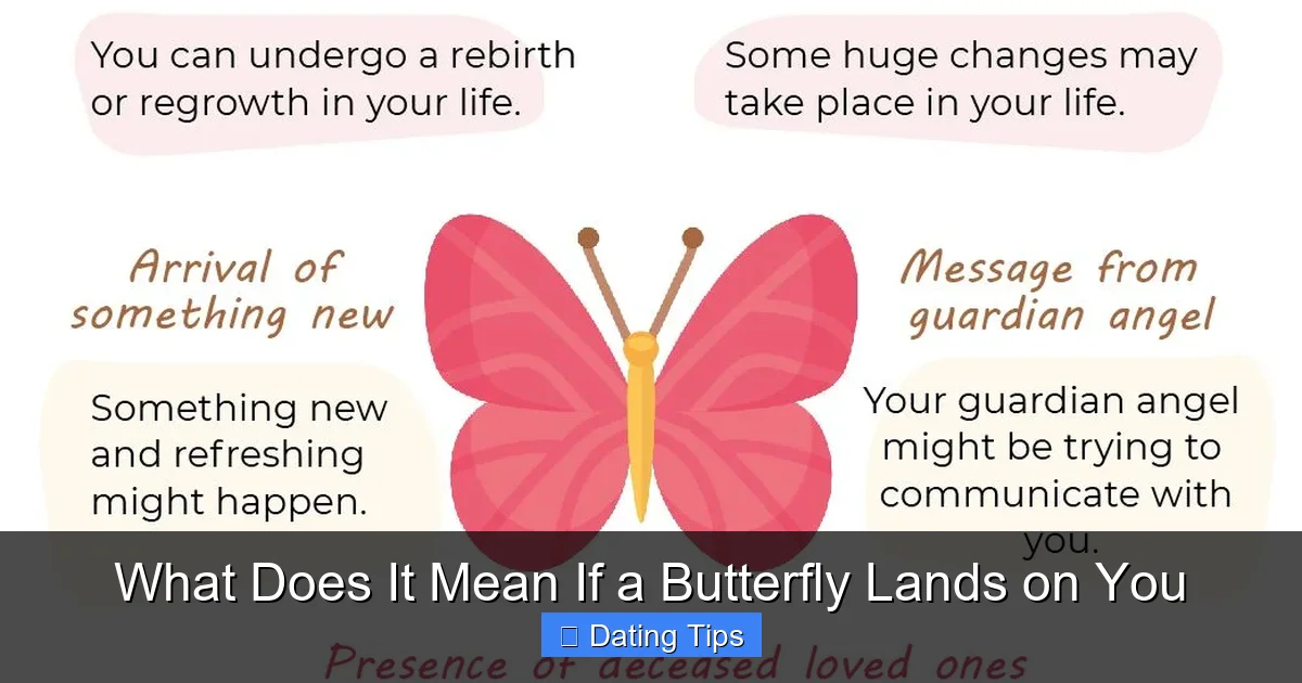What Does It Mean If a Butterfly Lands on You