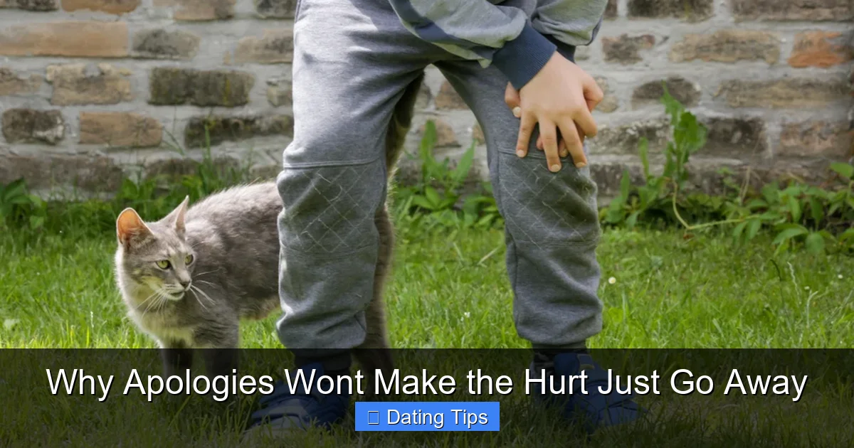 Why Apologies Wont Make the Hurt Just Go Away