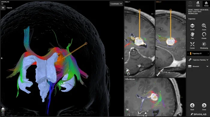Your Brains Gps And Memories Are Linked The Science Explained