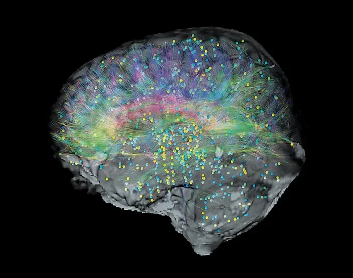 Your Brains Gps And Memories Are Linked The Science Explained