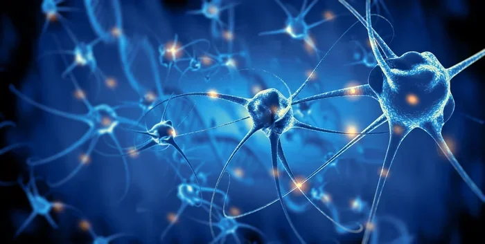 Gate Control Theory Of Pain How The Brain Controls Pain