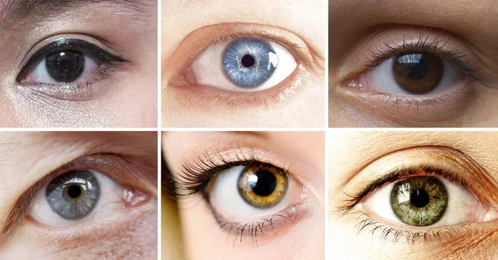 The Blue Eyes Brown Eyes Jane Elliott Experiment Explained