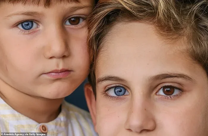The Blue Eyes Brown Eyes Jane Elliott Experiment Explained