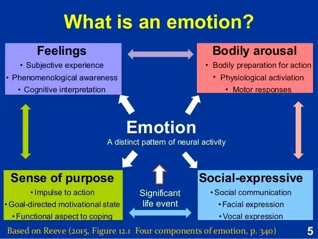 Two Factor Theory of Emotion Explained Simply and Clearly