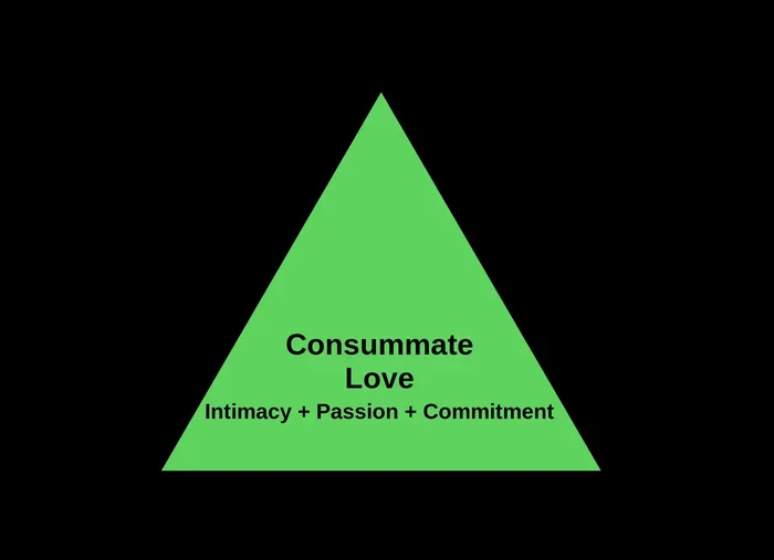 Sternbergs Triangular Theory Of Love Explained Simply