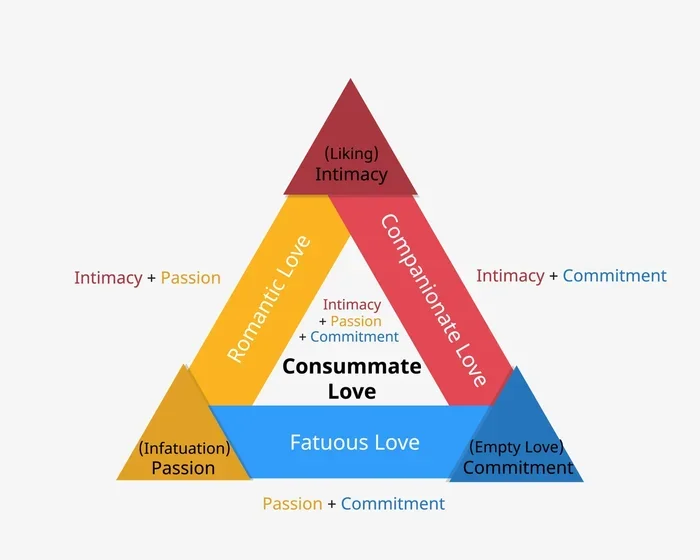 Sternbergs Triangular Theory Of Love Explained Simply