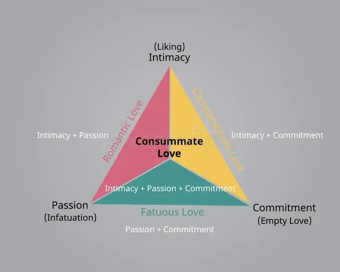 Sternbergs Triangular Theory Of Love Explained Simply