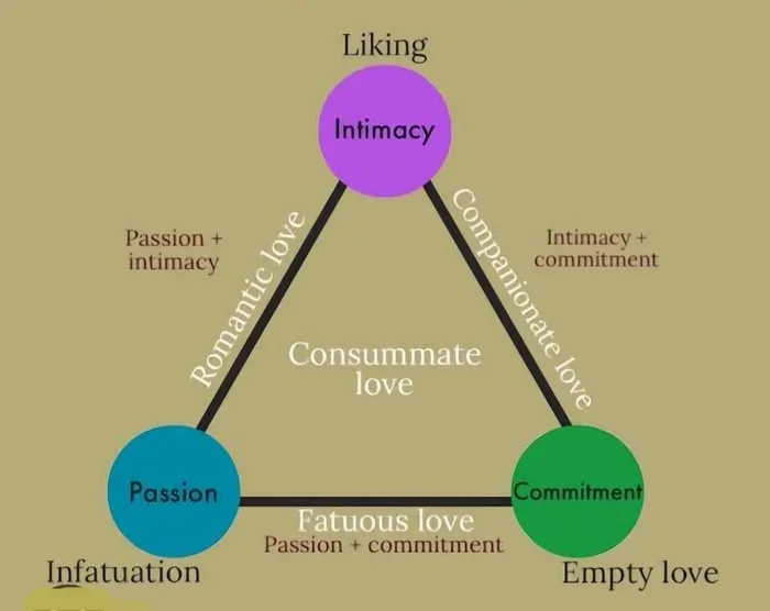 Sternbergs Triangular Theory Of Love Explained Simply