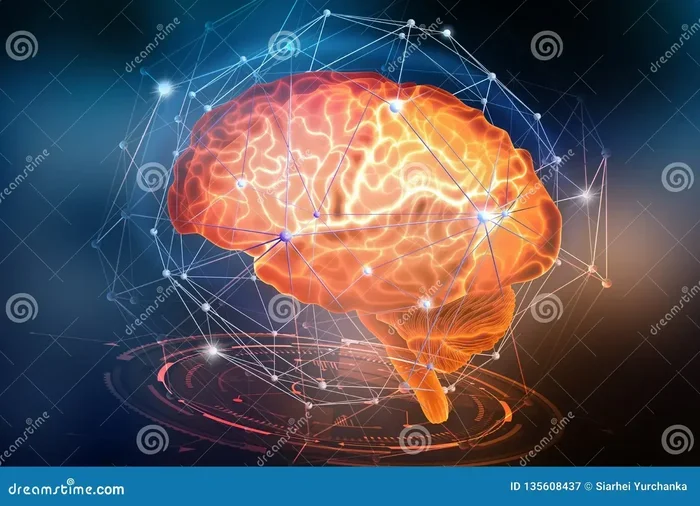 How Does The Brain Feel Pain The Surprising Science Explained