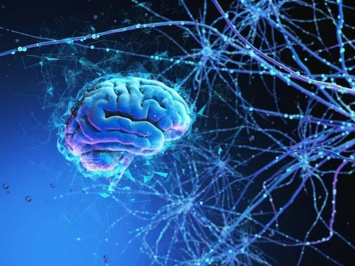 How Does The Brain Feel Pain The Surprising Science Explained
