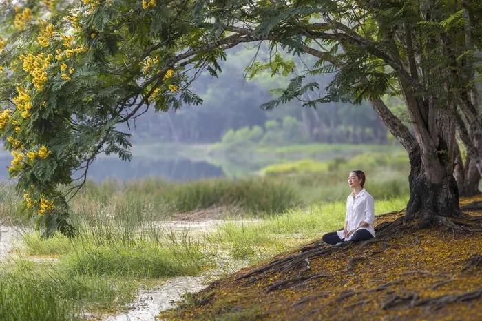 Mbsr Mindfulness Based Stress Reduction Transform Your Life