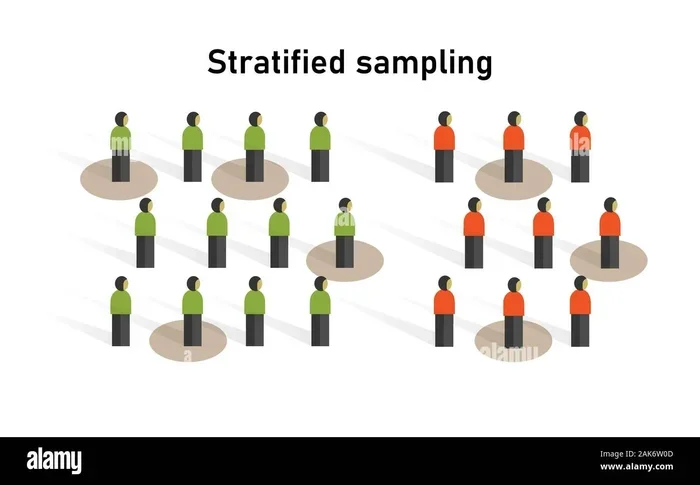 Cluster Sampling Vs Stratified Sampling The Main Differences