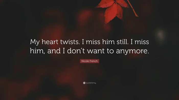 Why Miss Him Manage Broken Heart