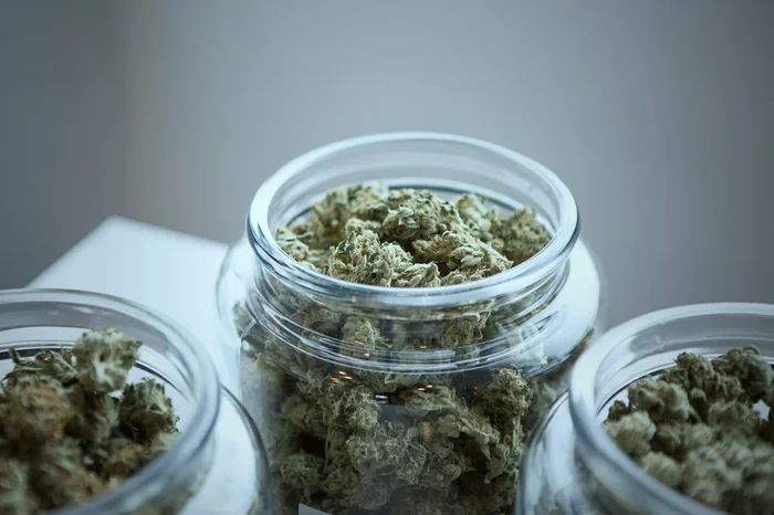 Can Cannabis Dehydrate You