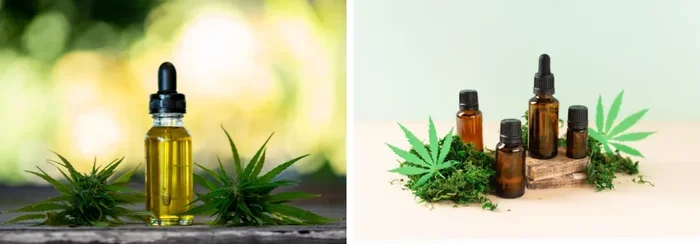 Can Cannabis Dehydrate You
