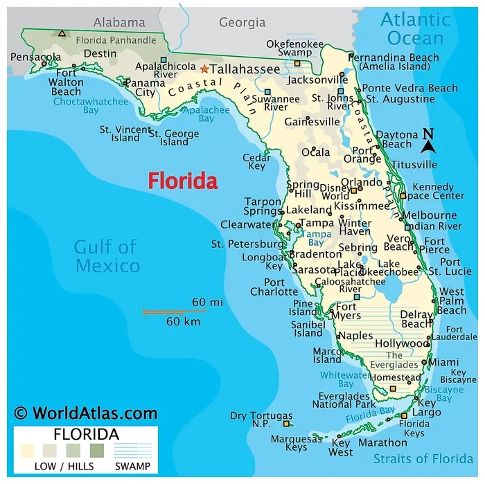 Best Credit Union for Mortgage in Florida