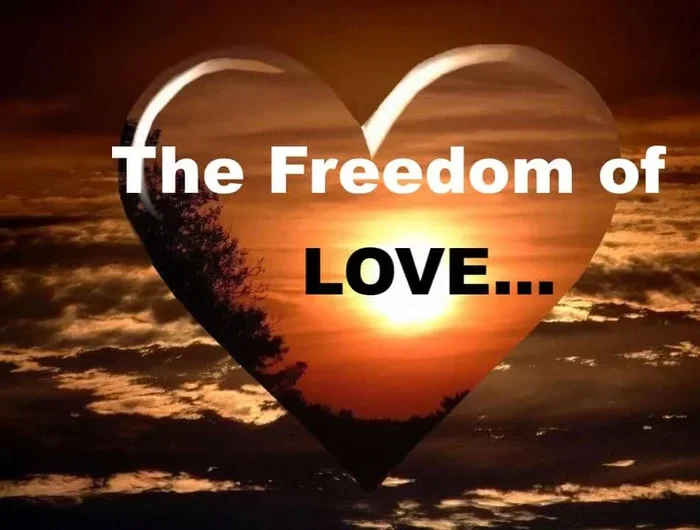 If You Love Something Set It Free
