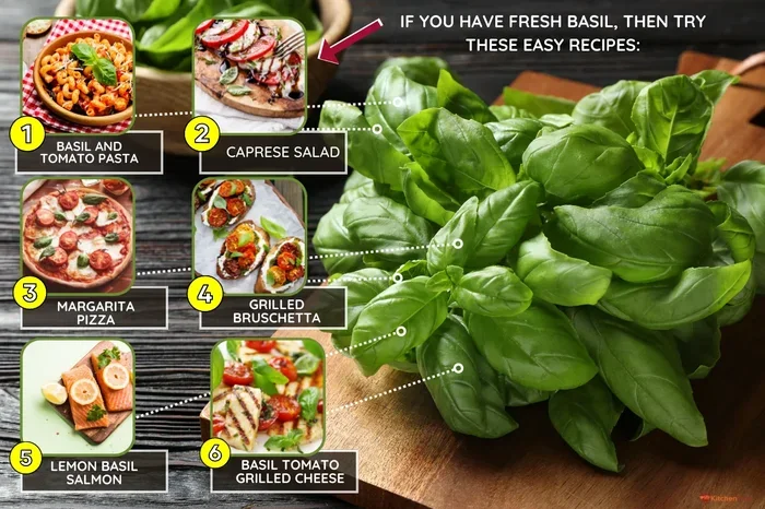 How to Cook with Fresh Basil