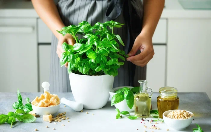 How to Cook with Fresh Basil