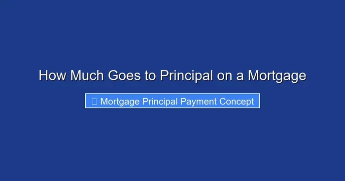 How Much Goes to Principal on a Mortgage