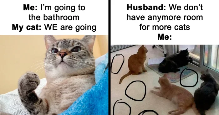 How a Person with Bipolar Thinks
