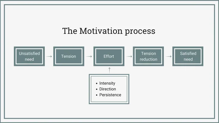 The Drive Reduction Theory