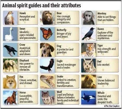 How to Know Your Spirit Animal