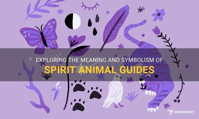 How to Know Your Spirit Animal