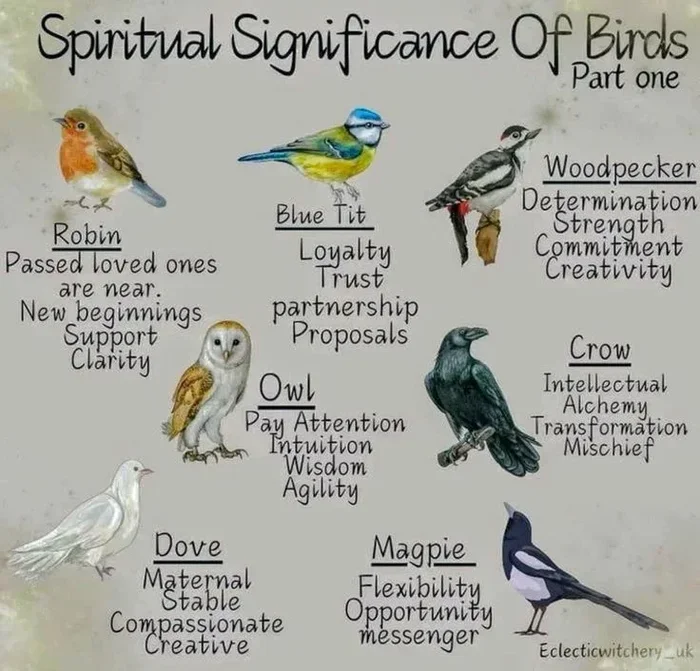 How to Know Your Spirit Animal