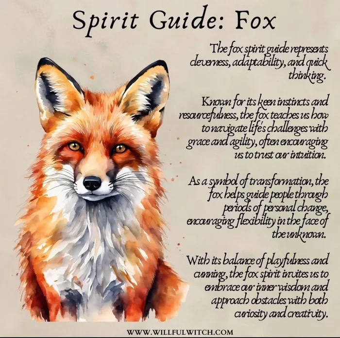 How to Know Your Spirit Animal