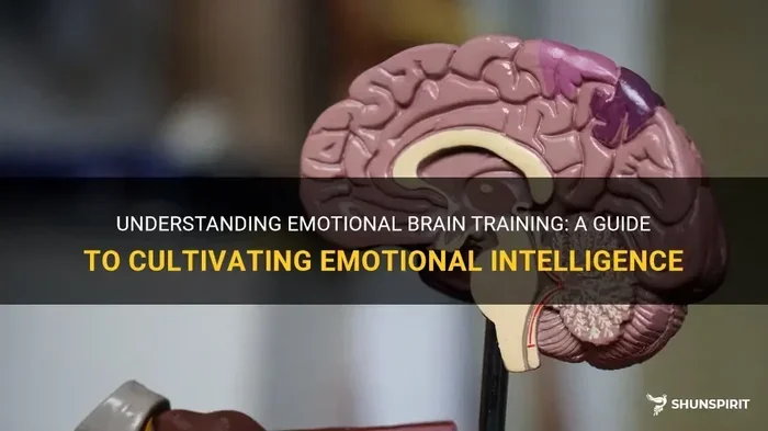 Training The Depressed Brain To Read Emotions Effectively