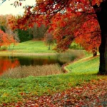 Paying Off Family Members Mortgage A Smart Financial Guide
