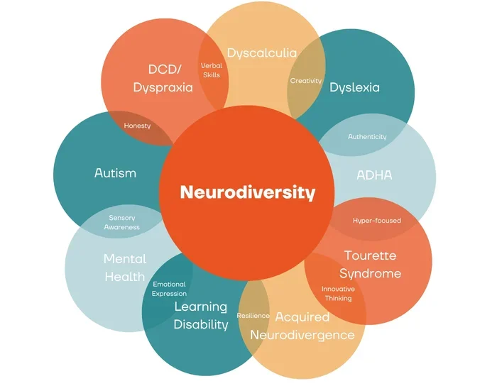 Consolidating A Framework Of Autistic Camouflaging Strategy