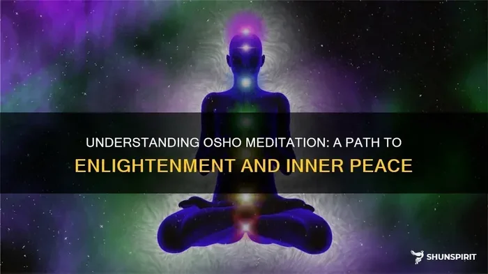 Osho On Love As A Disease And Meditation As Medicine